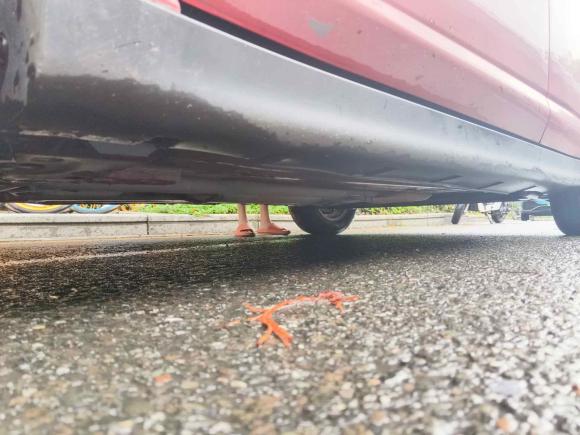 [佛山·粤X] 二手日产骐达TIIDA2008款 1.6L 自动智能型