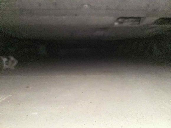 [温州·浙C] 二手奥迪奥迪Q32019款 40 TFSI 时尚动感型