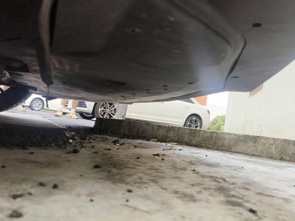 [杭州·浙A] 二手福特Mustang2019款 2.3L EcoBoost