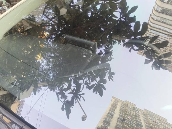 [南昌·赣A] 二手丰田卡罗拉2019款 1.2T S-CVT 运动版