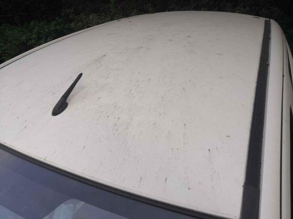 [合肥·皖A] 二手铃木奥拓2013款 改款 1.0L 手动舒适型