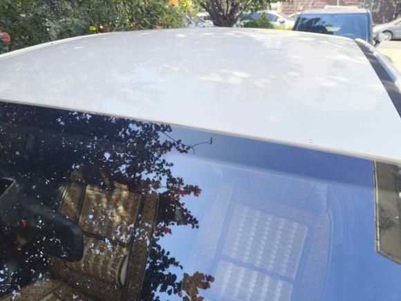 [青岛·鲁B] 二手雪铁龙世嘉2016款 经典 三厢 1.6L 手动CNG