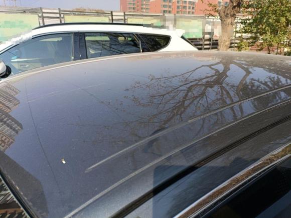 [济南·鲁A] 二手雪铁龙爱丽舍2014款 1.6L 手动时尚型