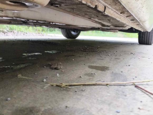 [上海·苏H] 二手别克君威2015款 2.0L 精英时尚型