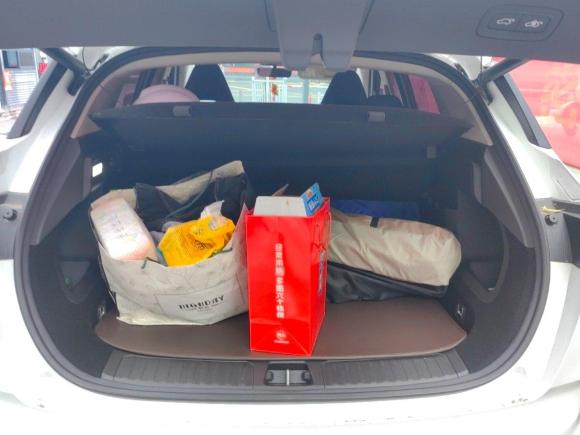 [杭州·浙A] 二手领克领克06新能源2020款 PHEV Plus