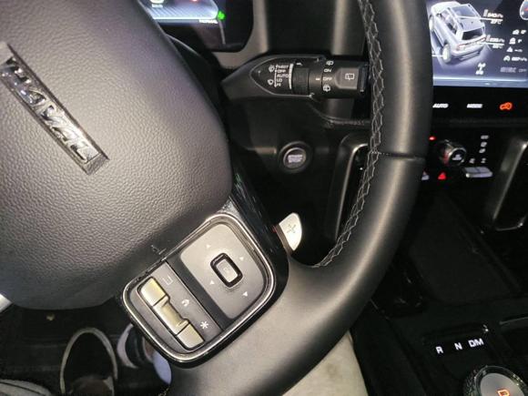 [杭州·浙A] 二手哈弗哈弗大狗2021款 2.0T DCT四驱中华田园犬版