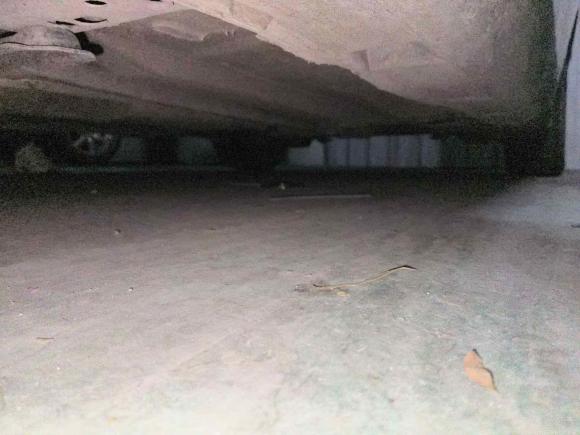 [温州·浙C] 二手福特福克斯2015款 两厢 1.6L 手动舒适型