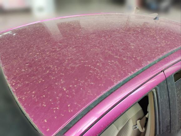 [合肥·皖A] 二手丰田雅力士2011款 1.6E 自动魅动版