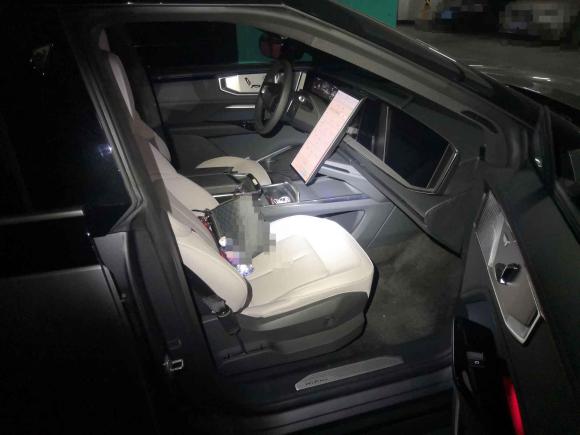 [合肥·皖A] 二手高合汽车高合HiPhi Y2023款 560km 精英版