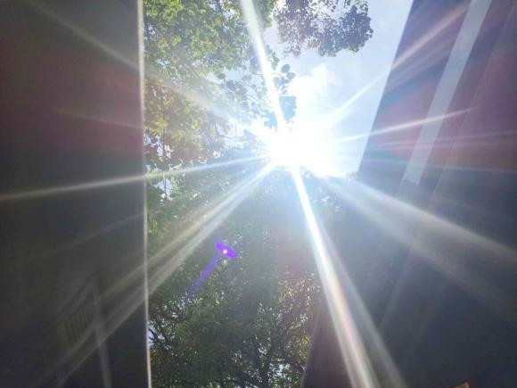 [上海·皖C] 二手观致观致32015款 都市SUV 1.6T 自动致酷型