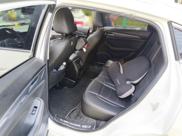 [芜湖·皖B] 二手哈弗哈弗F7x2021款 1.5T 两驱极智潮玩版