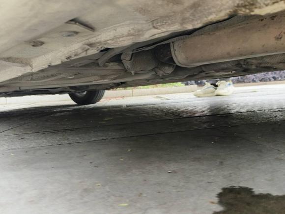 [温州·浙C] 二手福特福克斯2013款 两厢经典 1.8L 自动时尚型