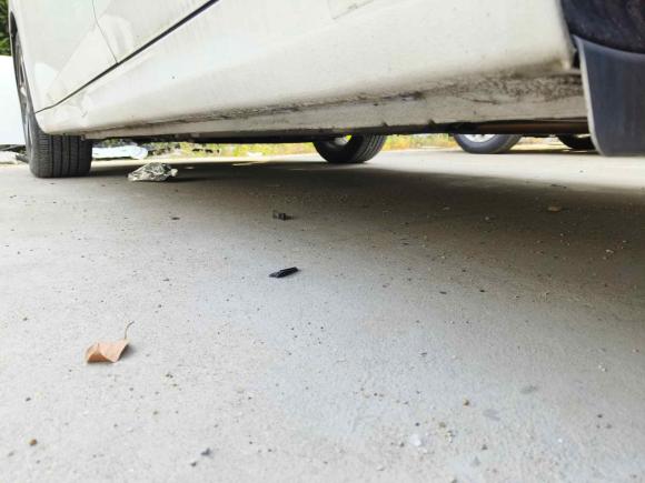 [苏州·苏H] 二手现代伊兰特2021款 1.5L CVT GLX精英版