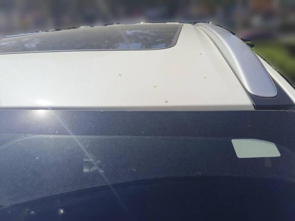 [青岛·鲁B] 二手福特撼路者2017款 2.0T 汽油自动四驱豪华版 5座