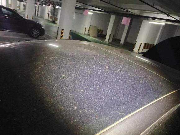 [宁波·浙B] 二手特斯拉Model 32020款 标准续航后驱升级版