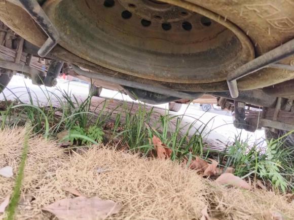 [合肥·皖N] 二手金杯金杯快运2017款 2.0L标准型V19