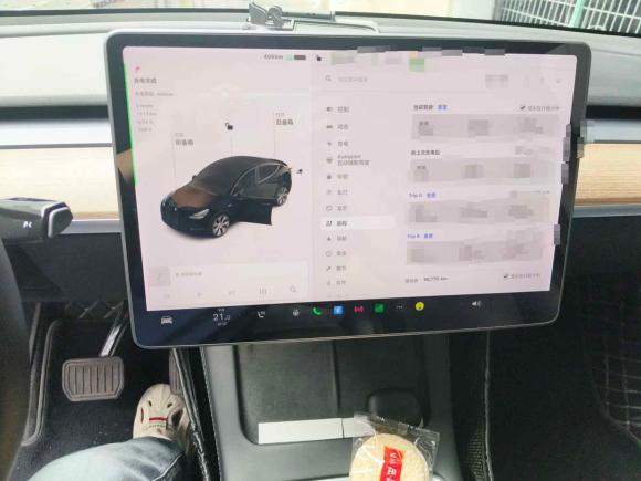 [合肥·皖A] 二手特斯拉Model Y2021款 标准续航后驱版