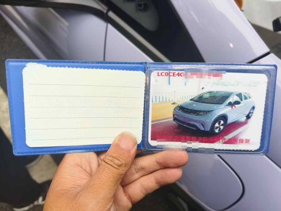 [杭州·浙A] 二手比亚迪海豚2023款 420km 自由版