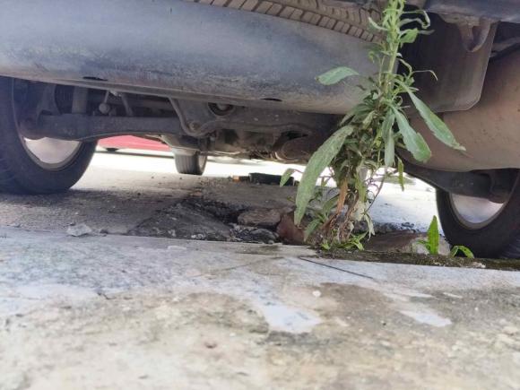 [温州·浙C] 二手三菱欧蓝德2010款 劲界 2.4 时尚版