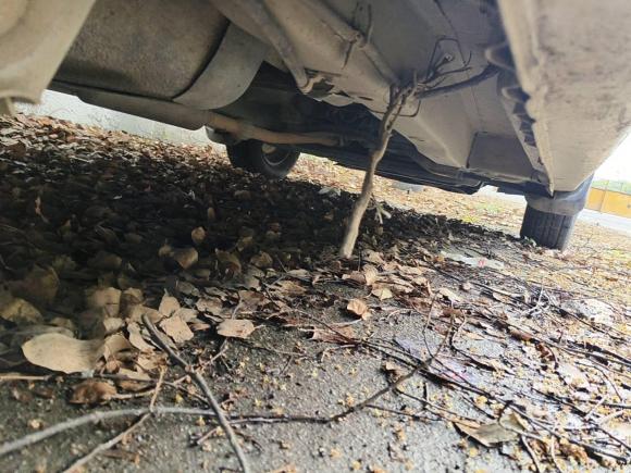 [上海·皖K] 二手五菱汽车五菱宏光2015款 1.5L S 基本型国V