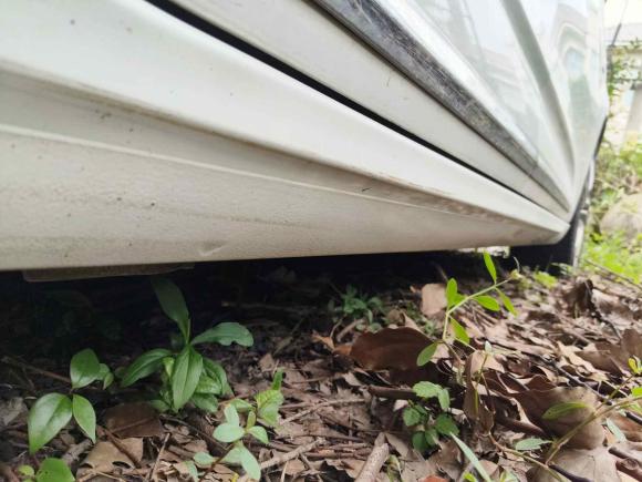 [上海·浙F] 二手雪铁龙雪铁龙C4L2014款 1.6THP 智驱版 自动劲智型