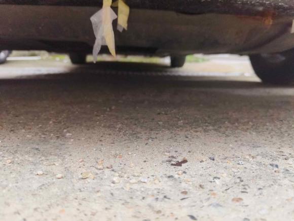 [南昌·赣A] 二手本田锋范经典2014款 风尚 1.5L 自动精英版