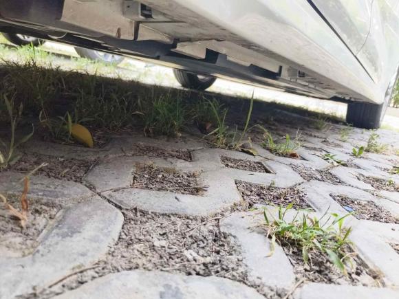 [上海·沪C] 二手丰田亚洲狮2021款 2.0L 豪华版