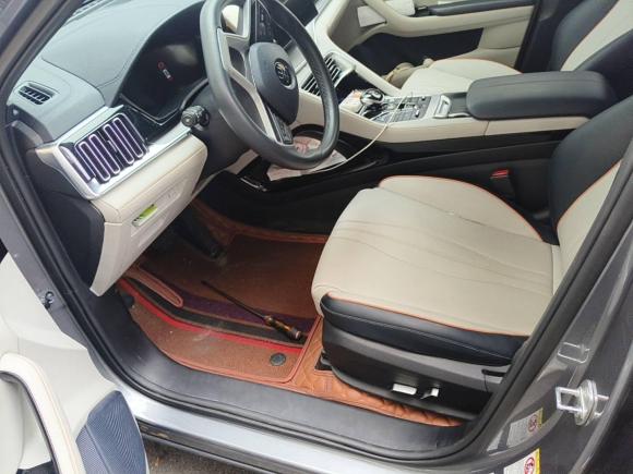 [嘉兴·浙F] 二手比亚迪宋PLUS新能源2021款 EV 尊贵型