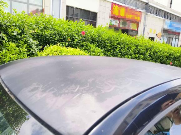 [佛山·粤X] 二手smartsmart fortwo2012款 1.0 MHD 硬顶标准版