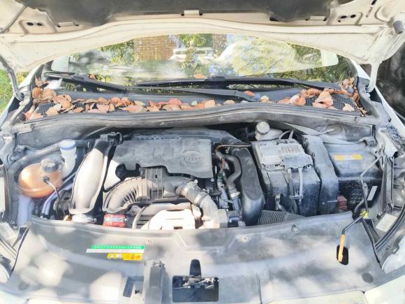 [宁波·浙B] 二手标致标致20082015款 1.6THP 自动时尚版