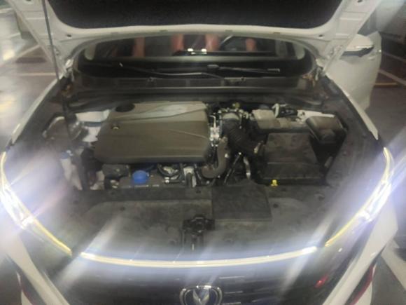 [深圳·粤S] 二手长安逸动2022款 PLUS 蓝鲸NE 1.4T GDI DCT尊贵版