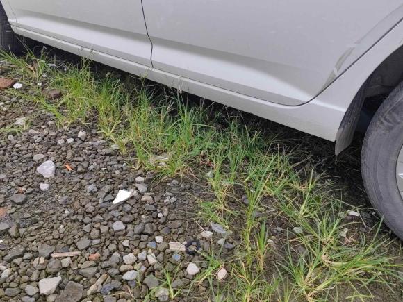 [上海·沪C] 二手大众朗逸2022款 280TSI DSG舒适版