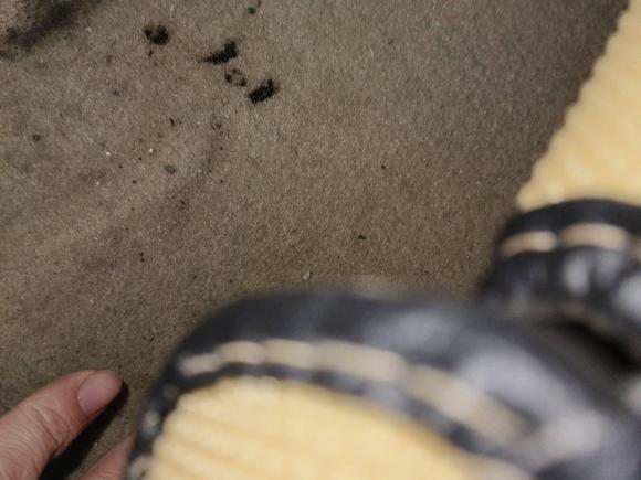 [常州·苏D] 二手丰田锐志2010款 2.5V 风度菁英版