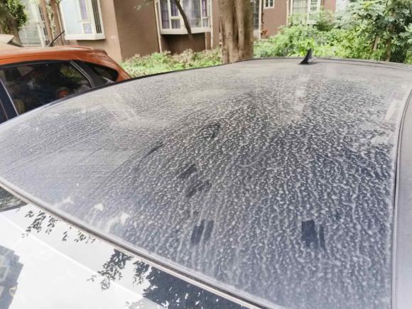 [成都·川A] 二手思皓花仙子2022款 花仙子款 四叶草