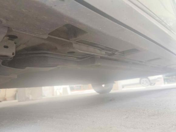 [宁波·浙B] 二手比亚迪海豚2023款 420km 自由版