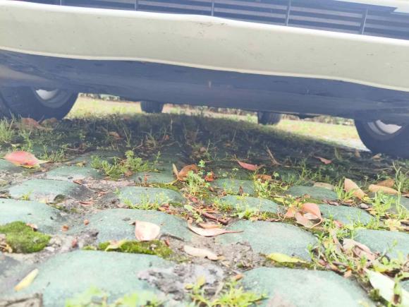 [苏州·苏E] 二手奥迪奥迪A4L2018款 30周年年型 40 TFSI 时尚型