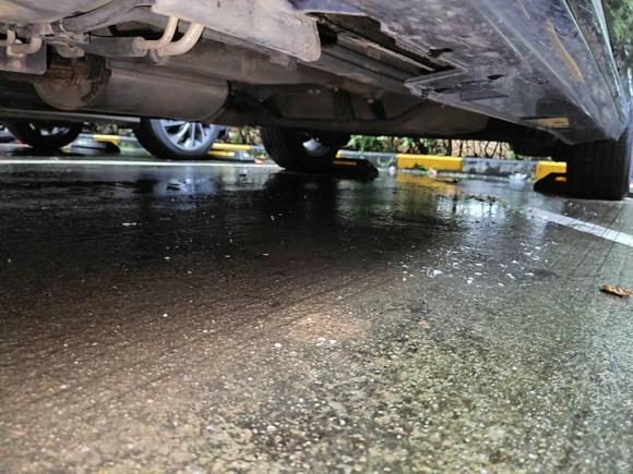 [深圳·湘M] 二手比亚迪宋MAX2019款 1.5T 自动智联睿逸天窗型 6座 国VI