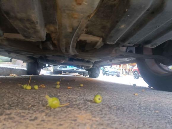 [青岛·鲁B] 二手奇瑞瑞虎52016款 1.5T 手动家悦信赖版