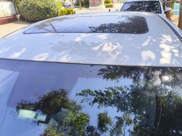 [青岛·鲁B] 二手奇瑞艾瑞泽5 PLUS2021款 小泽 1.5L CVT享PLUS