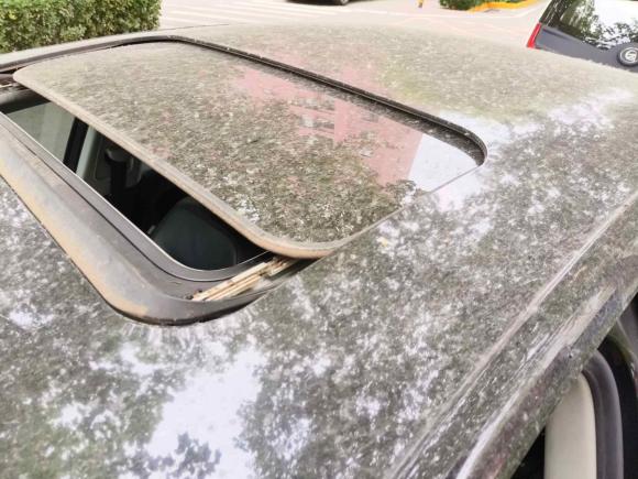 [北京·京N] 二手大众迈腾2013款 1.8TSI 豪华型