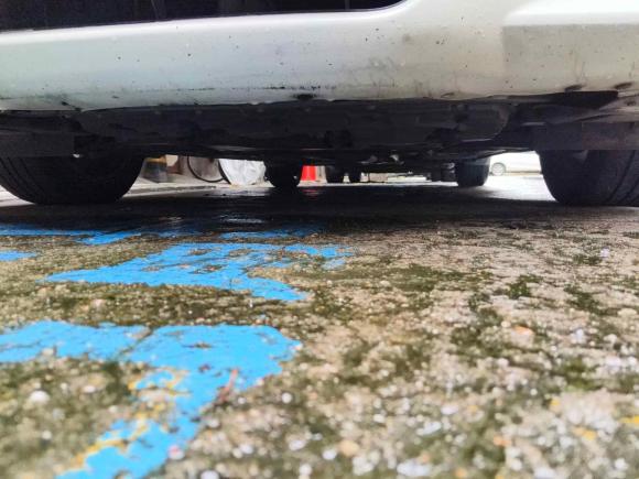 [佛山·粤E] 二手日产蓝鸟2016款 1.6L CVT智酷版