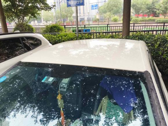 [杭州·浙A] 二手雪铁龙C4世嘉2016款 1.6L 自动舒适型