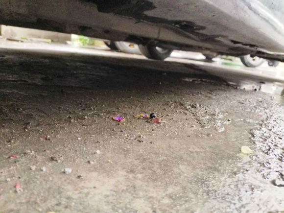 [温州·浙C] 二手马自达睿翼2010款 2.0L 自动豪华版