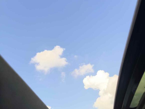 [上海·豫G] 二手日产轩逸2020款 1.6L XL CVT悦享版