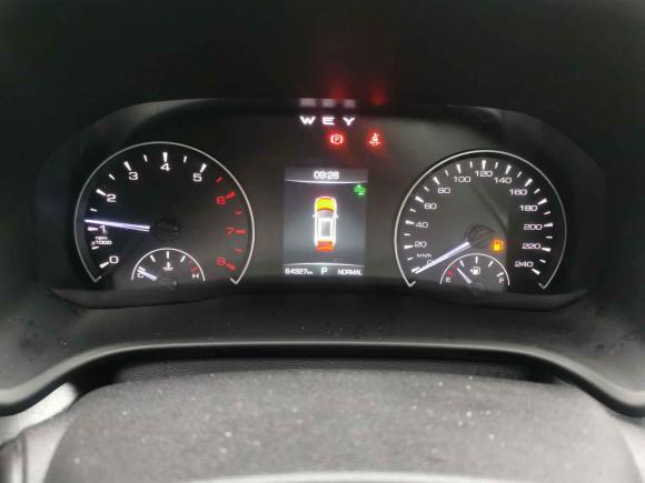 [上海·鲁F] 二手魏牌魏牌 VV52020款 1.5T 两驱颜先锋