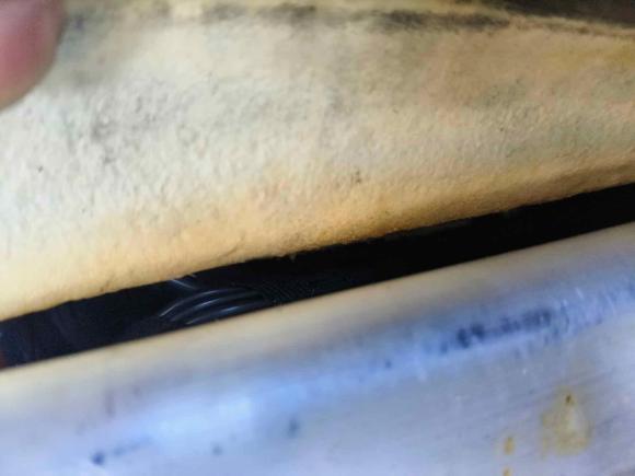 [武汉·鄂A] 二手捷豹捷豹XF2009款 XF 3.0L V6豪华版