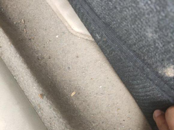 [常州·苏D] 二手丰田花冠2009款 1.6L 手动特惠版