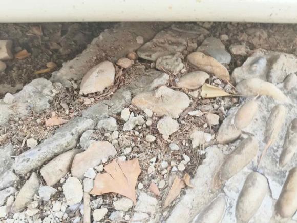 [南京·苏A] 二手马自达阿特兹2017款 2.5L 蓝天运动版