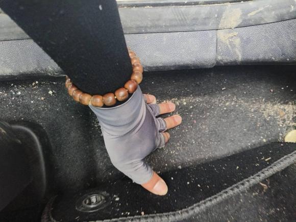 [嘉兴·浙F] 二手福特福睿斯2019款 1.5L 自动质享型