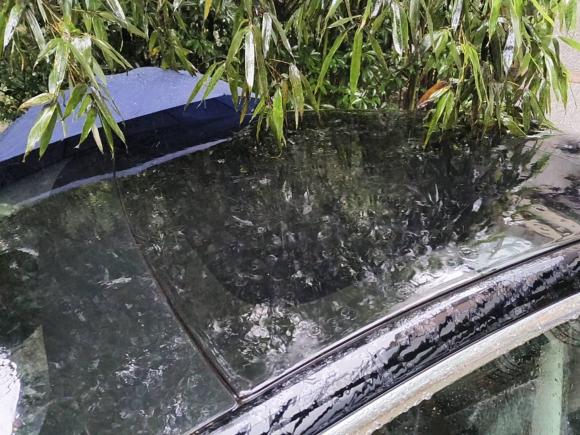 [南京·苏A] 二手特斯拉Model 32020款 长续航后轮驱动版